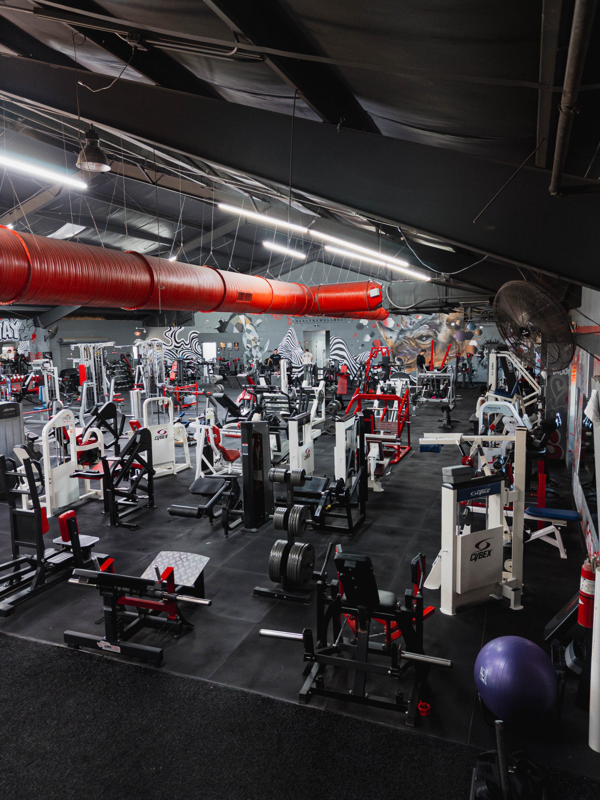 Elevated view of the Leader Fitness gym floor with rows of strength machines