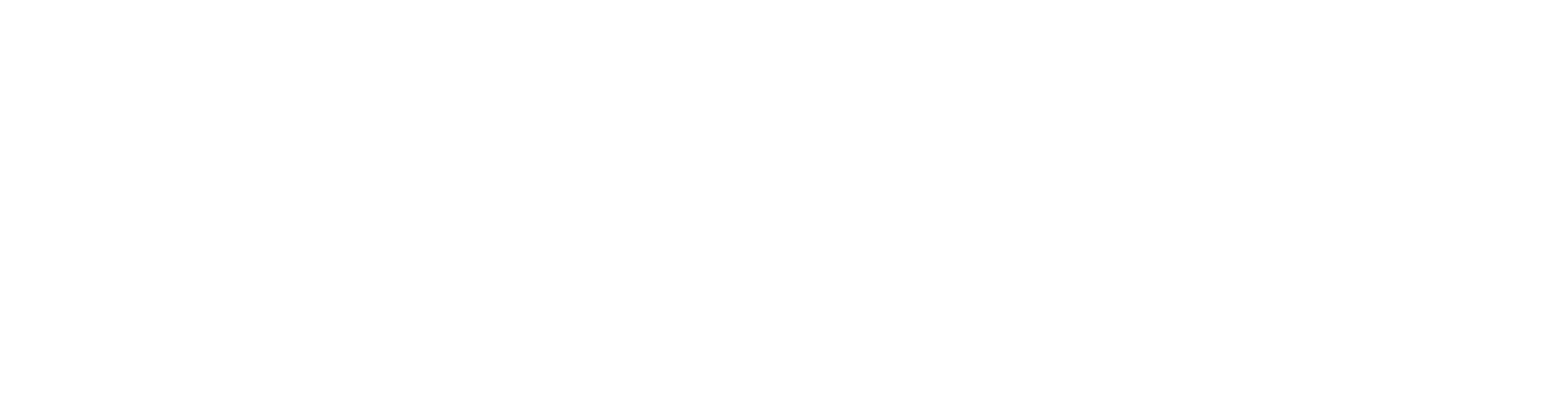 Leader Fitness